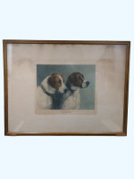 The Pick of the Pack