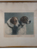 The Pick of the Pack