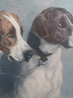 The Pick of the Pack