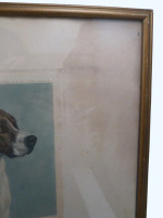 The Pick of the Pack