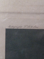 The Pick of the Pack