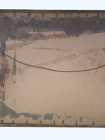 The Pick of the Pack