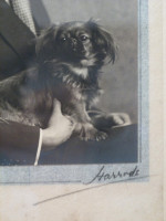 Denis Mackail & Topsy, hand-signed photograph 1929