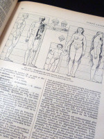 Larousse Medical Illustre