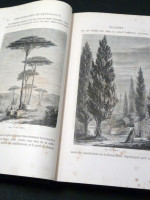 Histoire des Plantes