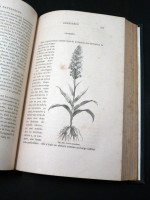 Histoire des Plantes