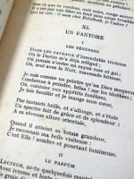 Les Fleurs de Mal et Poesies Diverses