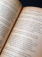 Les Orientales, Les Feuilles D'Automne