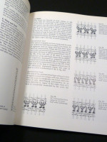 Lion Rugs; The Lion in the Art and Culture of Iran