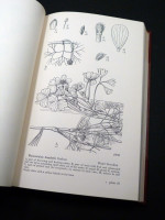 Drawings of British Plants, Parts 1–3