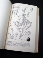 Drawings of British Plants, Parts 1–3