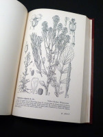 Drawings of British Plants, Parts 1–3
