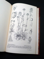 Drawings of British Plants, Parts 1–3