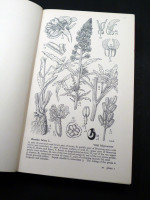 Drawings of British Plants, Parts 4–6