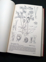 Drawings of British Plants, Parts 4–6