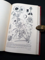 Drawings of British Plants, Parts 4–6
