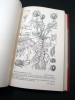 Drawings of British Plants, Parts 7–9