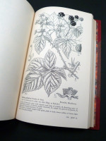 Drawings of British Plants, Parts 7–9