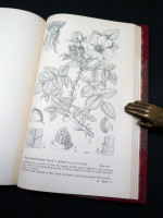 Drawings of British Plants, Parts 7–9