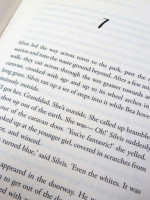 The Lost Witch (Signed copy)