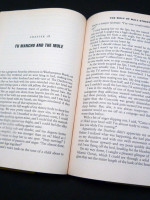 The Wolf of Wall Street