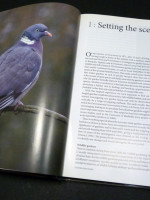 Wildlife of a Garden, A Thirty-Year Study (Signed first edition)