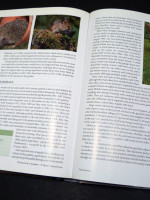 Wildlife of a Garden, A Thirty-Year Study (Signed first edition)