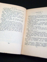 The Ruin, A Gothic Novel (Signed copy)