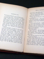 Villa Rubein (1900, first edition)