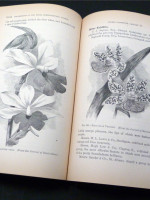 Journal of the Royal Horticultural Society, Vol XVI, 1894