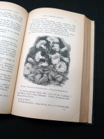 Journal of the Royal Horticultural Society, Vol XVI, 1894