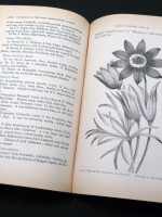 Journal of the Royal Horticultural Society, Vol XIX, 1895