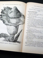 Journal of the Royal Horticultural Society, Vol XX, 1896