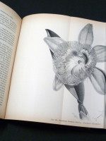 Journal of the Royal Horticultural Society, Vol XXI, 1897/1898