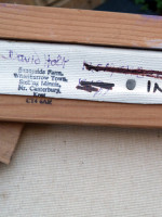 In the Garden, 6.00pm by David Holt (2006)