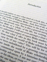 Witness Against the Beast (1993, first edition)