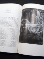 Witness Against the Beast (1993, first edition)