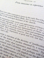 Witness Against the Beast (1993, first edition)