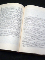 Dictionary of Obsolete Words from 19th & 20th Literature