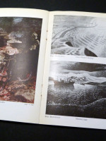 War Pictures at the National Gallery