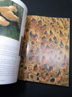 Photographing Fungi in the Field (Signed first edition)