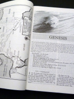 Die Bybel, Nuew Vertaling