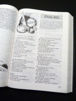 Die Bybel, Nuew Vertaling