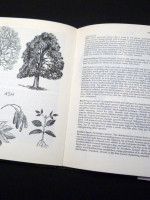 The Lore of the Land