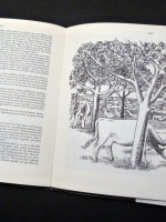 The Lore of the Land