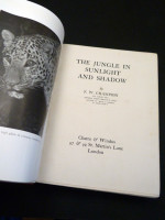 The Jungle in Sunlight and Shadow