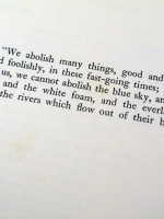 The Jungle in Sunlight and Shadow