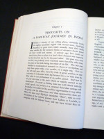 The Jungle in Sunlight and Shadow