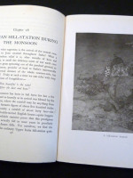 The Jungle in Sunlight and Shadow