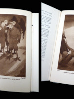 The House with Green Shutters